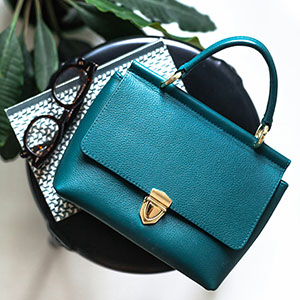 Image displaying designer bag.