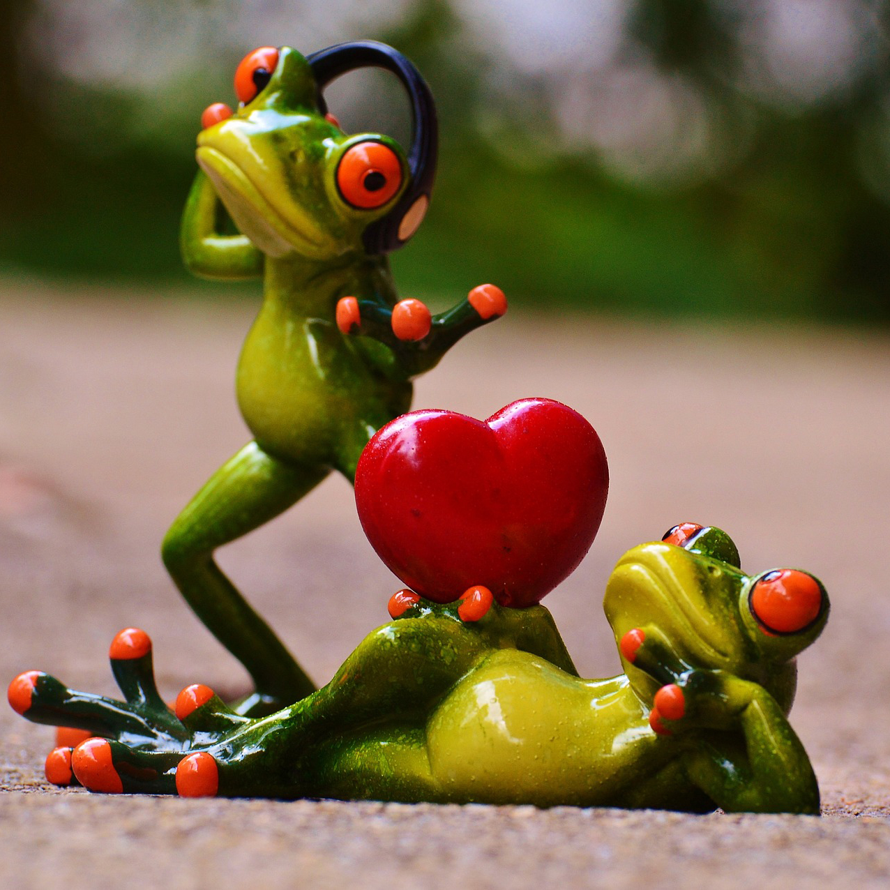 Picture of froggy!
