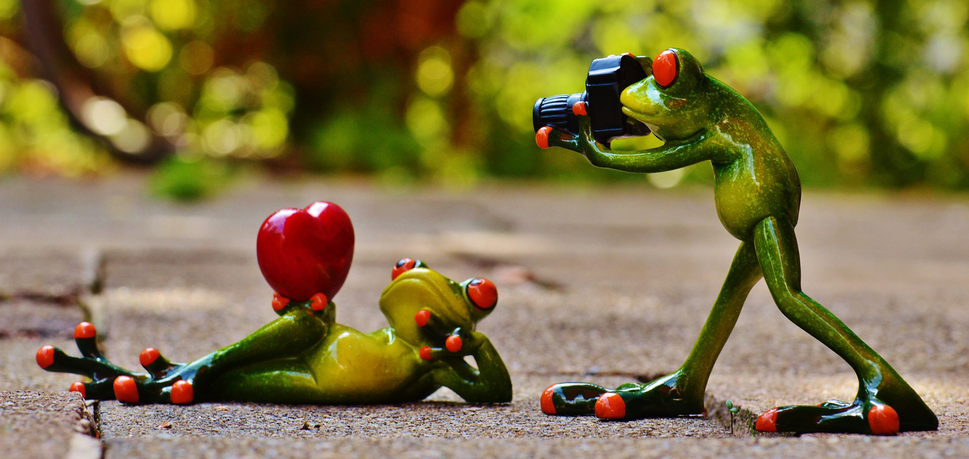 Picture of froggy!