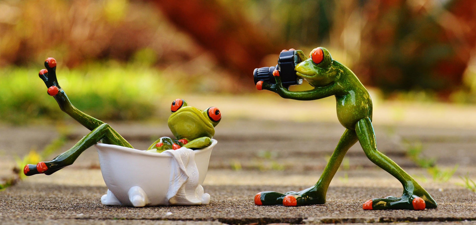 Picture of froggy!