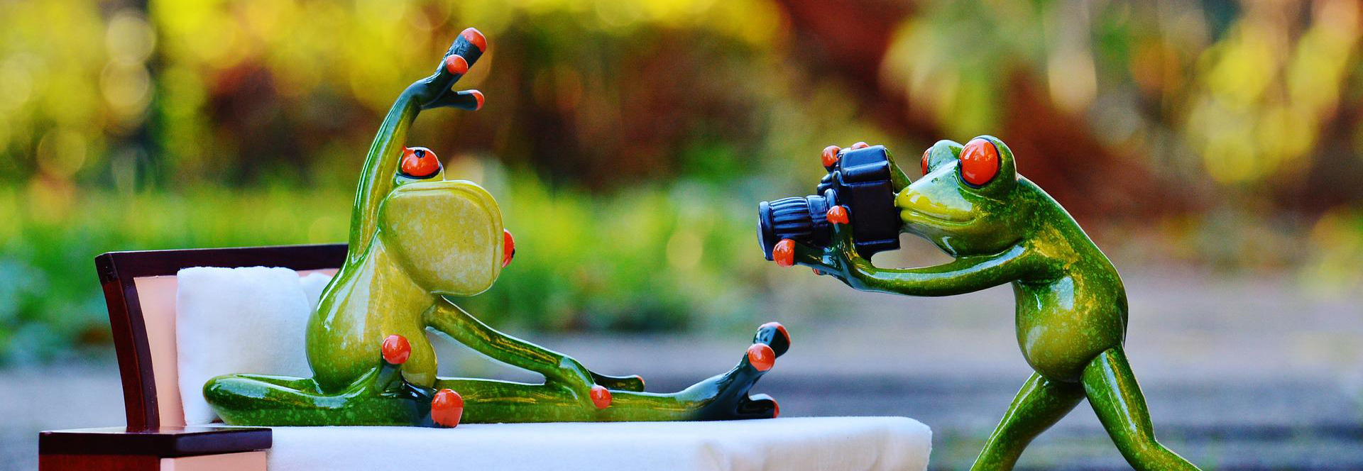 Picture of froggy!